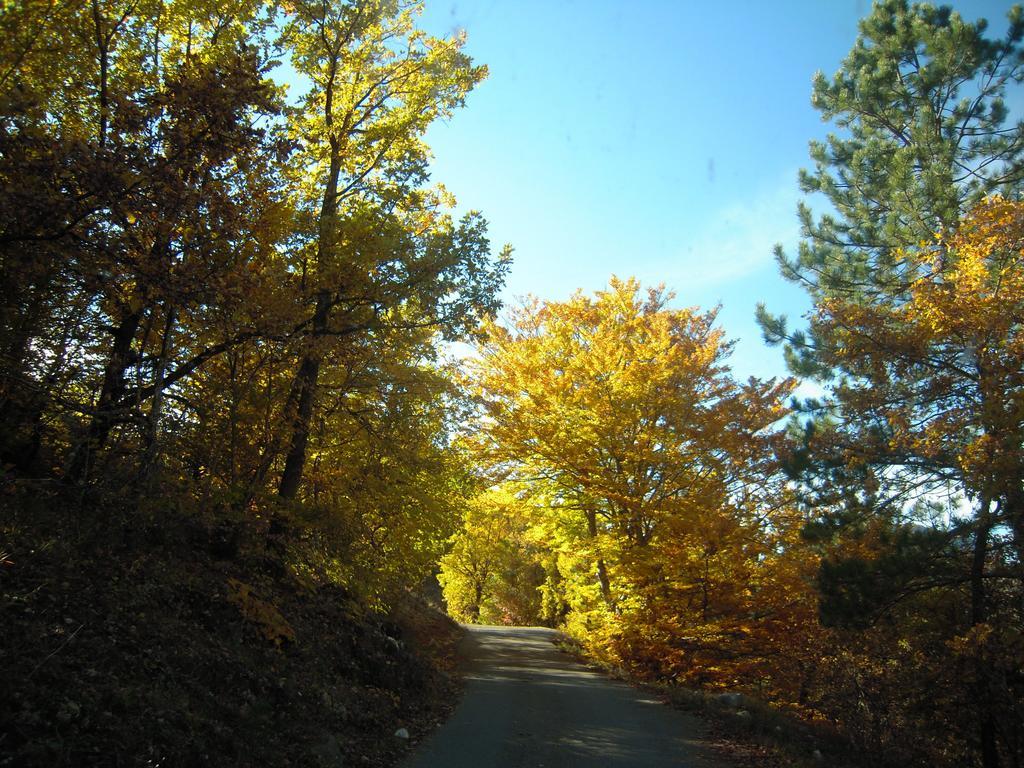 Un Gite De Charme En Haute Provence Villa Sigoyer  Oda fotoğraf