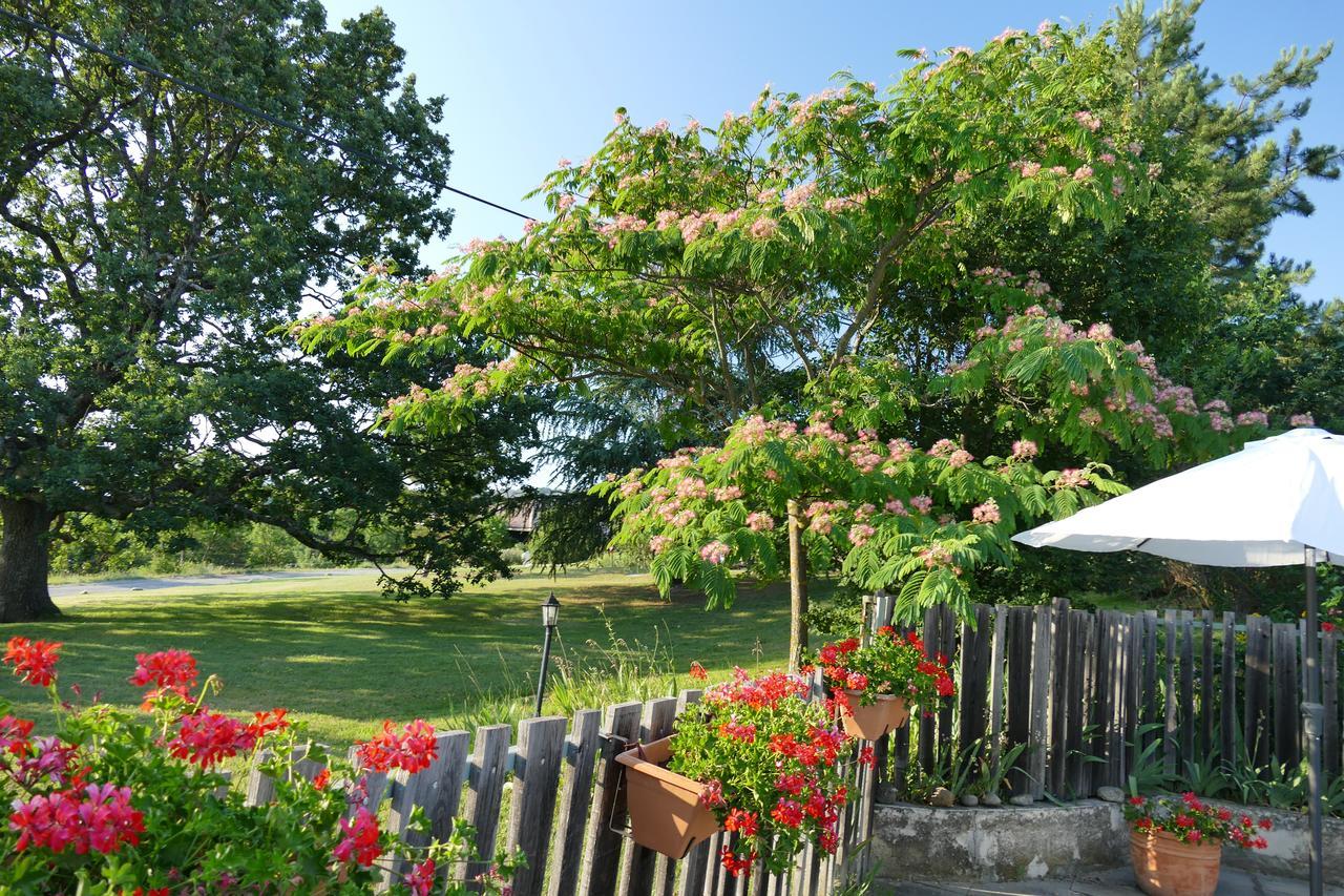 Un Gite De Charme En Haute Provence Villa Sigoyer  Dış mekan fotoğraf